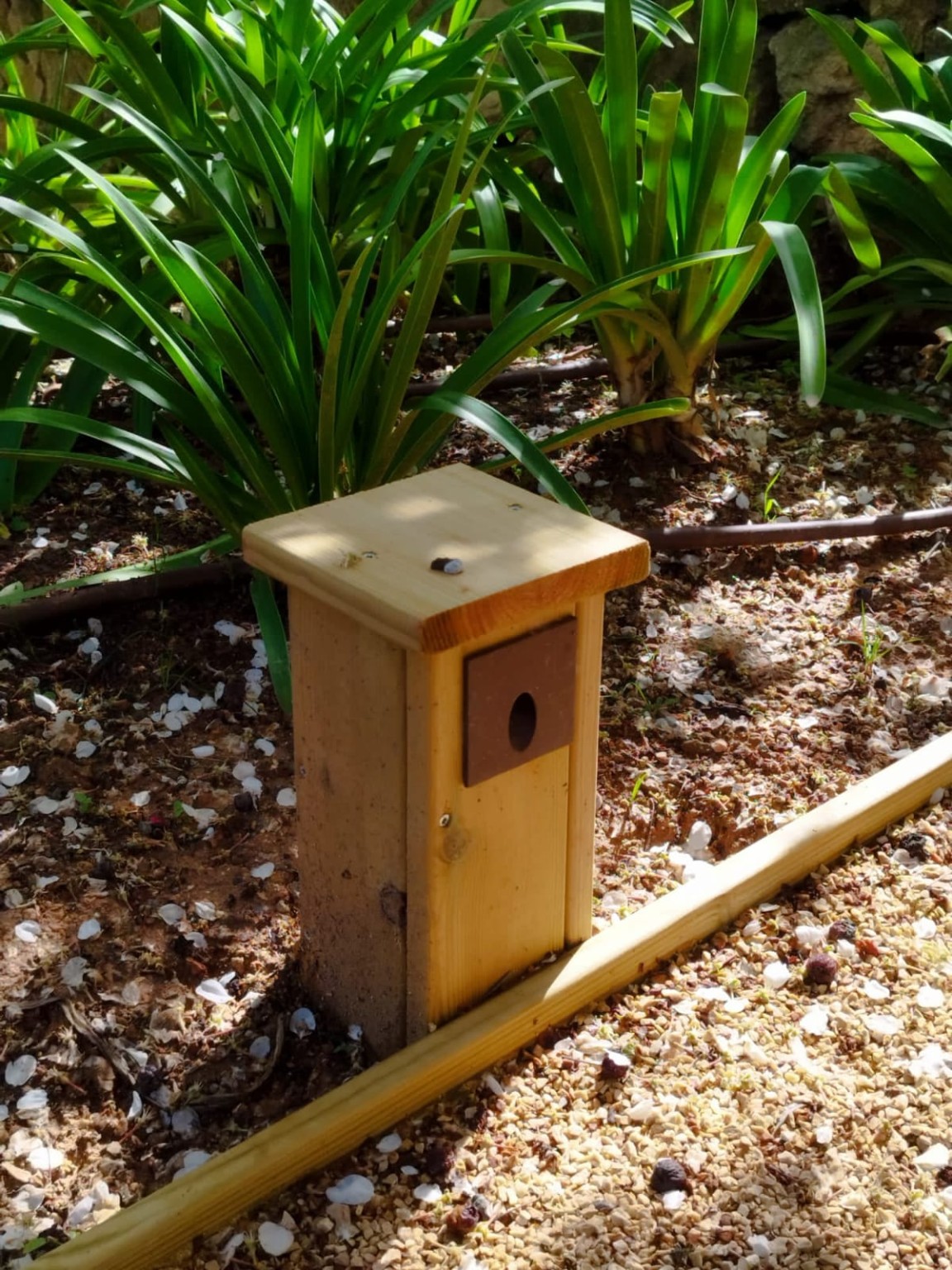 Instalación en jardín